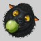 A Brief Look at the Gooseberry Project