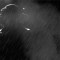 Best of Film Noir
