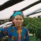 Tobacco Girl: A Conflict Between the Traditional and the Modern World